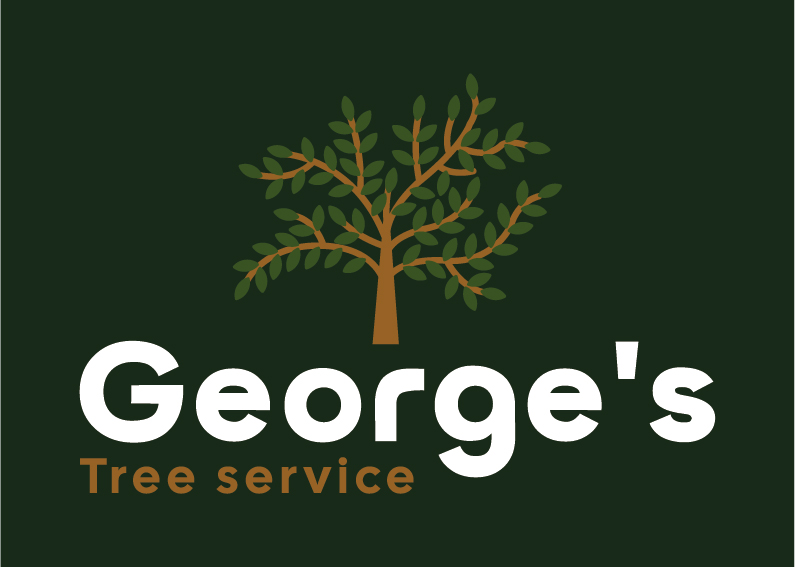 About Us - George's Tree Service